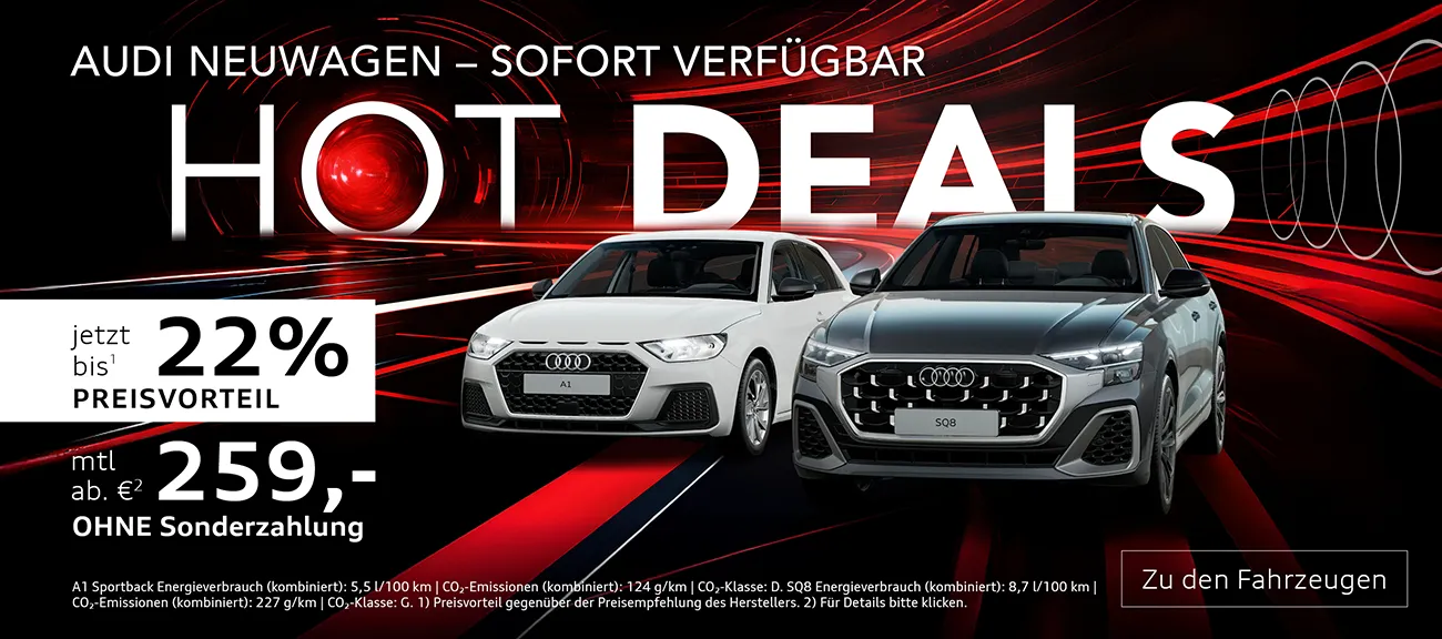 Audi Lageraktion